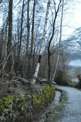 Paisaje cerca de este apartamento