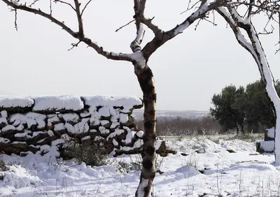Casa Salto de Roldán en invierno