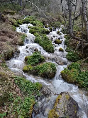 Paisaje cerca of this country house