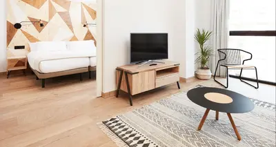 Una televisión o centro de entretenimiento en Apartamentos Dos Ríos Ainsa