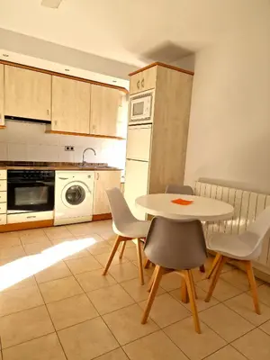 Una cocina o zona de cocina en Sierco Apartamentos Ainsa
