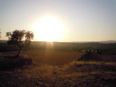 Paisaje cerca de este apartamento