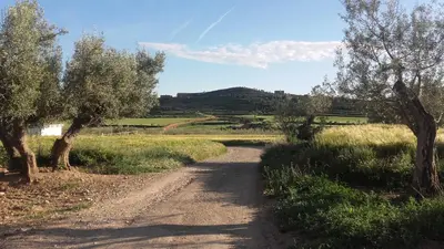 Paisaje cerca of this country house