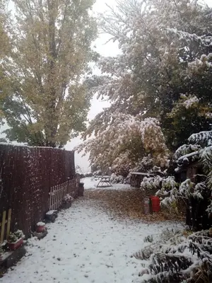 Casa del Arco en invierno