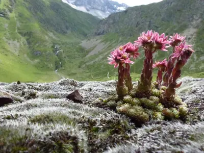 Paisaje cerca de este apartamento