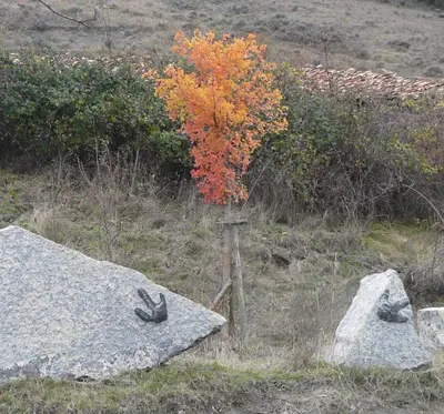 Plano de La Colmena