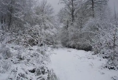 Albergue Irugoienea en invierno
