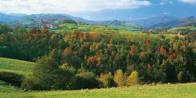 Paisaje cerca of this country house