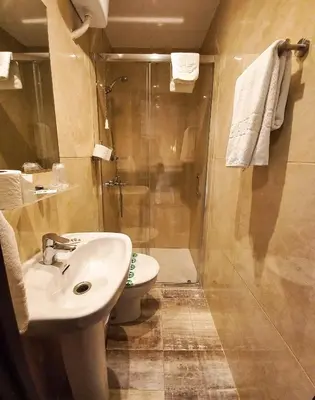 Un baño de Hotel Alegret