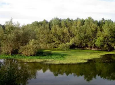Paisaje cerca de este hotel