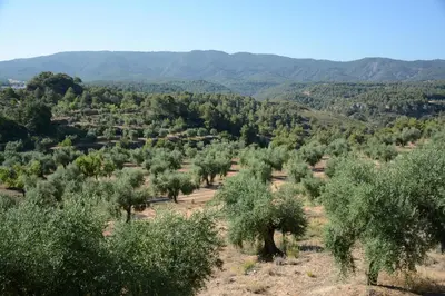 Paisaje cerca de esta casa o chalet