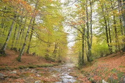 Paisaje cerca of this country house