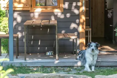 Mascotas con sus dueños en Bungalows Verneda Mountain Resort