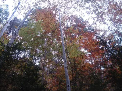 Paisaje cerca de este hotel