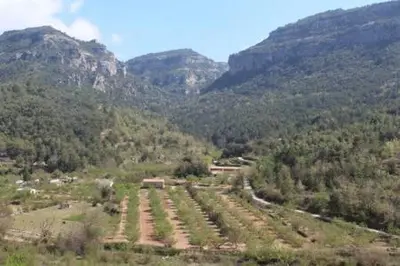 Paisaje cerca de este apartamento