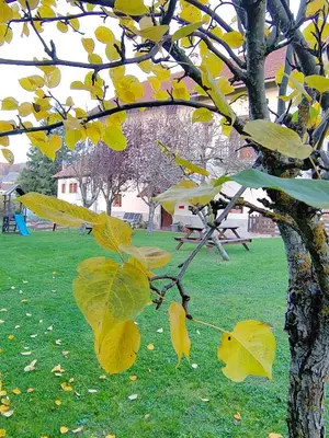 Jardín al aire libre en Apartamentos Goizeder