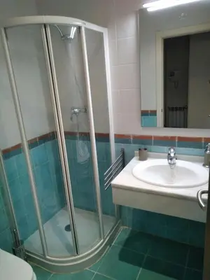 Un baño de Apartamento Pirineo Aragonés