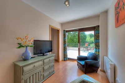 Una televisión o centro de entretenimiento en Apartaments Flor De Neu