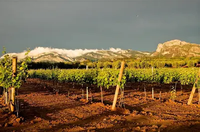 Paisaje cerca de esta casa o chalet