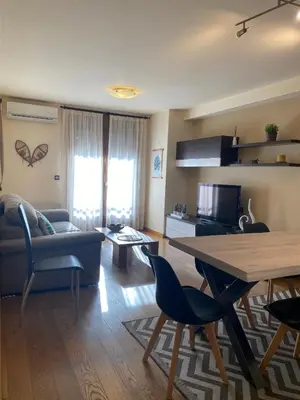 Zona de estar de Apartament Neret I