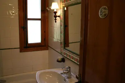 Un baño de San Antón