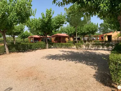 Jardín al aire libre en Camping Els Ports