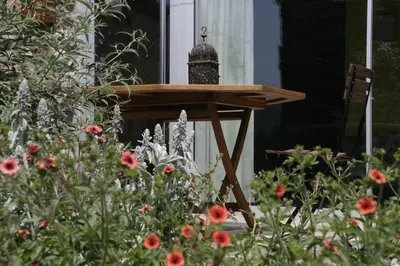 Jardín al aire libre en Cal Sodhi