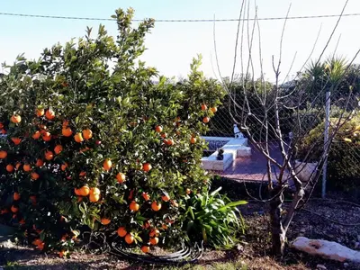 Jardín al aire libre en Casa Mariano