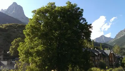 Paisaje cerca de este apartamento