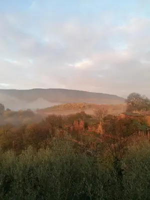Paisaje cerca de esta casa o chalet
