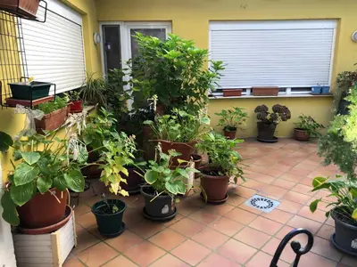 Jardín al aire libre en Hostal Escartín