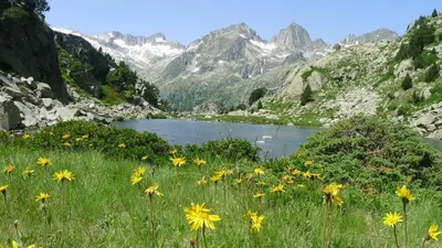 Paisaje cerca de esta casa o chalet