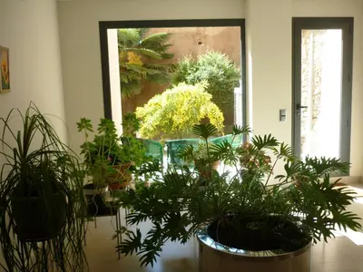 Jardín al aire libre en Posada del Almudí