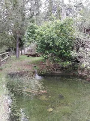 Paisaje cerca de esta casa o chalet
