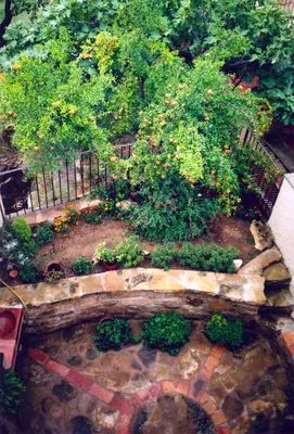 Jardín al aire libre en Apartamentos Casa Vidal