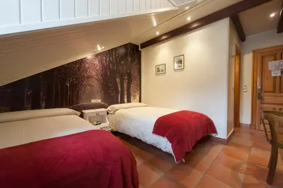 Cama o camas de una habitación en Hotel Villa de Torla