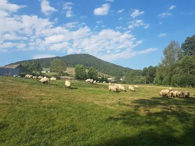 Paisaje cerca of this country house