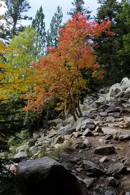 Paisaje cerca de este apartamento