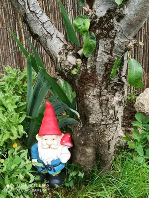 Jardín al aire libre en Apartamento Llorens
