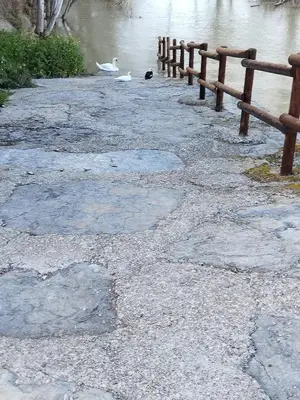 Paisaje cerca de este hostal o pensión