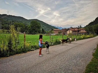 Paisaje cerca de este apartamento