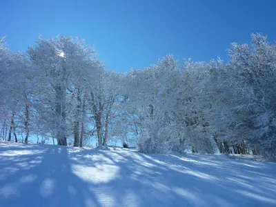 Hotel Rural Auñamendi en invierno