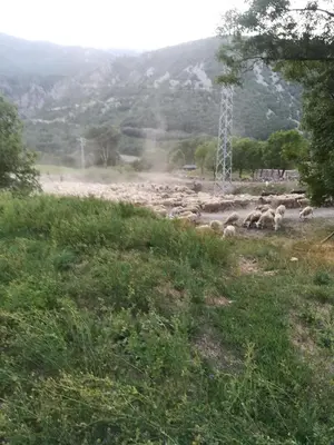 Paisaje cerca de este hostal o pensión