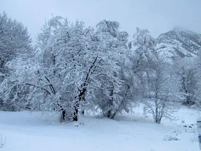 Hostal Casa Juan en invierno