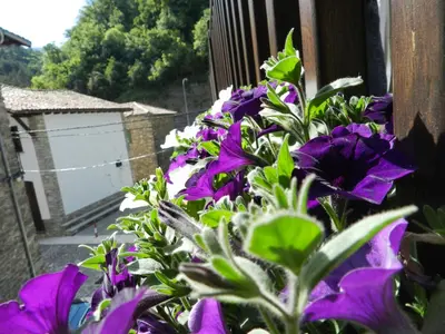 Jardín al aire libre en Argonz Etxea