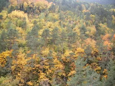 Paisaje cerca de este hotel