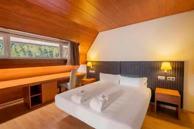Cama o camas de una habitación en Iberik Rocallaura Balneari
