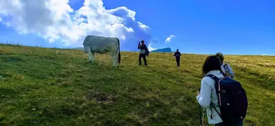 Clientes alojados en Casa Pirinea Ordesa
