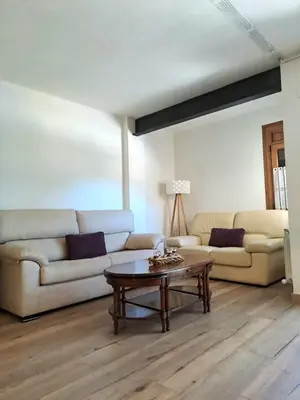 Zona de estar de Apartamento Vielha
