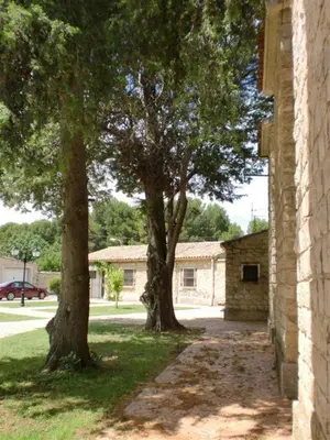Edificio en el que se encuentra la casa o chalet